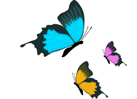 Abstract Butterfly Trioon Black Background PNG image