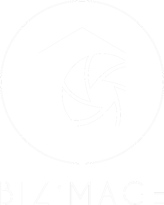 Abstract Camera Shutter Logo Bizi M A G E PNG image