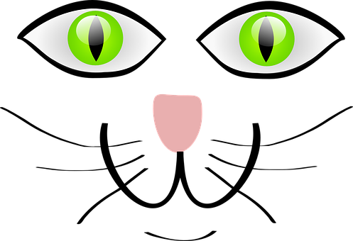 Abstract Cat Face Graphic PNG image