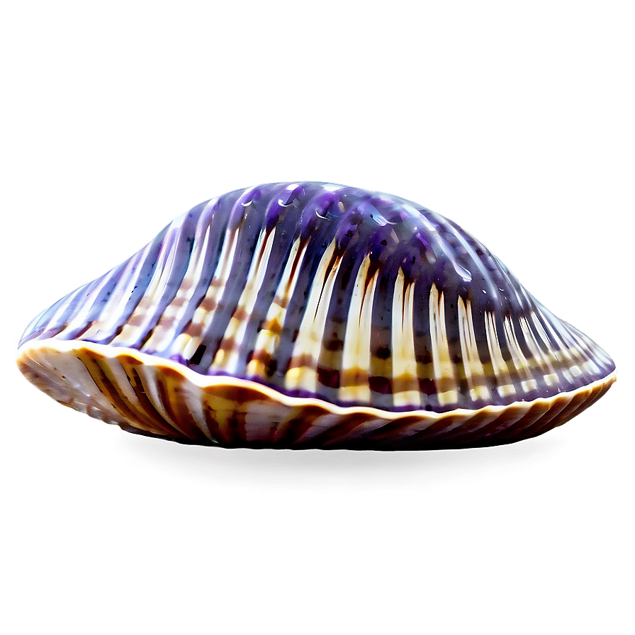 Abstract Clam Design Png Ahf PNG image