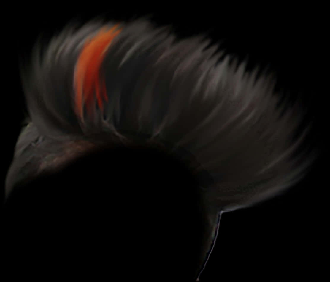 Abstract Cockatoo Feather Hairstyle PNG image