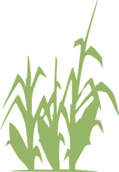 Abstract Corn Stalks Silhouette PNG image