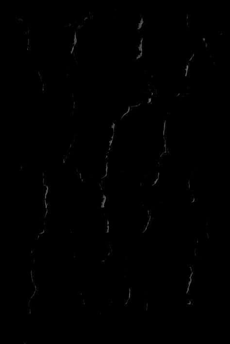 Abstract Crack Pattern Black Background PNG image