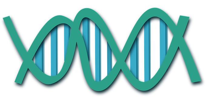 Abstract D N A Double Helix Illustration PNG image