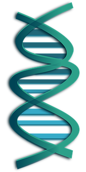 Abstract D N A Double Helix Illustration PNG image