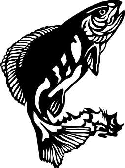 Abstract Fish Art Blackand White PNG image