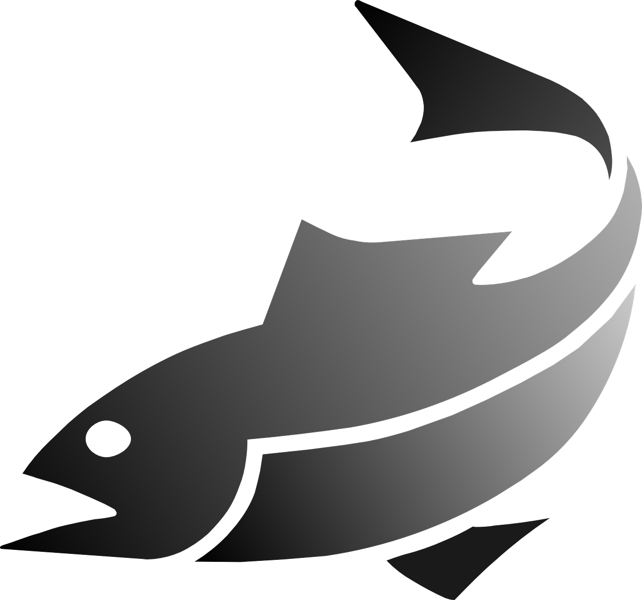 Abstract Fish Icon PNG image