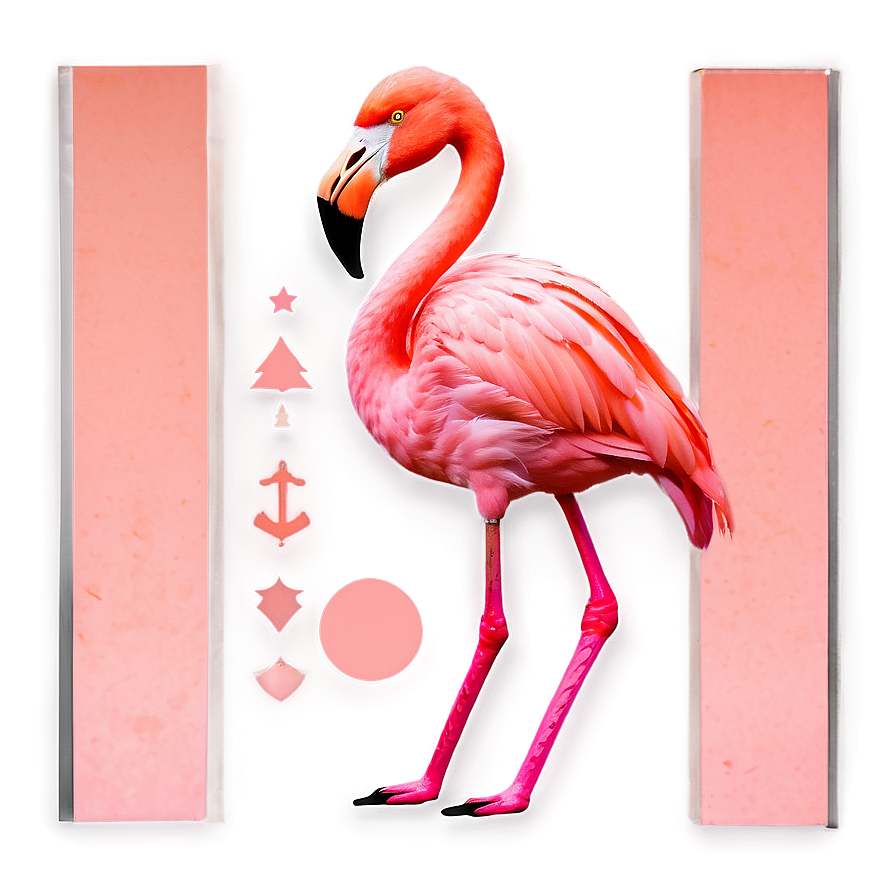 Abstract Flamingo Collage Png Qlc PNG image