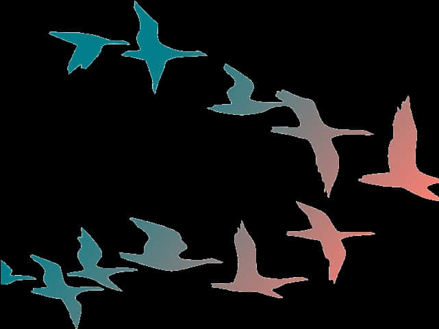 Abstract Flockof Birds Silhouettes PNG image