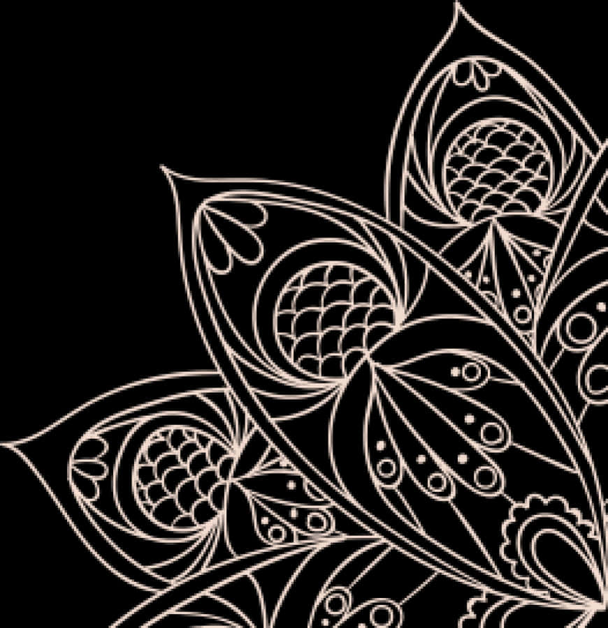 Abstract Floral Design Black Background PNG image