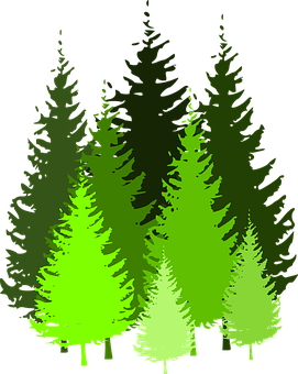 Abstract Forest Glowing Gradient PNG image