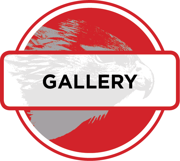 Abstract Gallery Sign Graphic PNG image