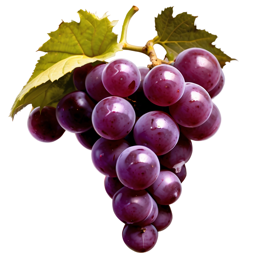 Abstract Grape Design Png 66 PNG image