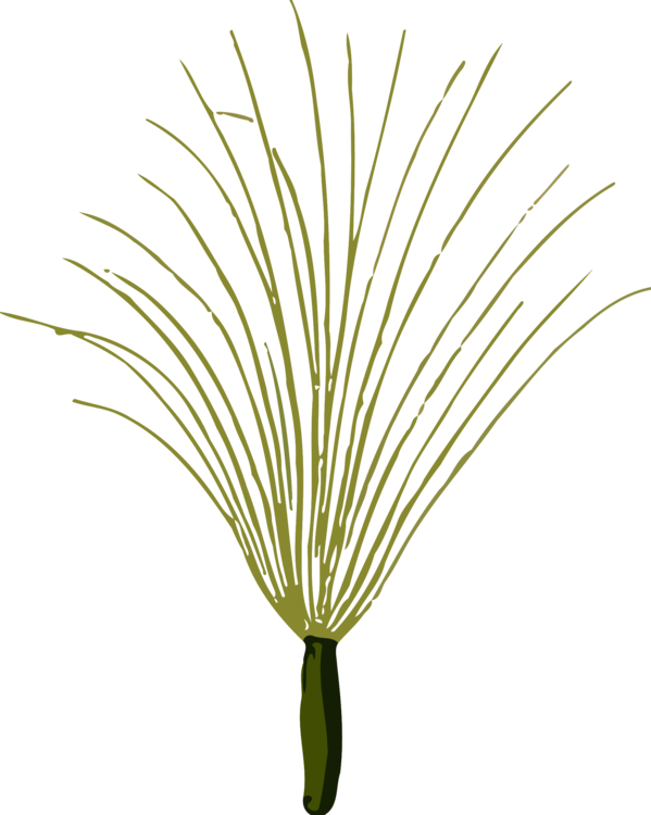 Abstract Grass Flower Illustration PNG image