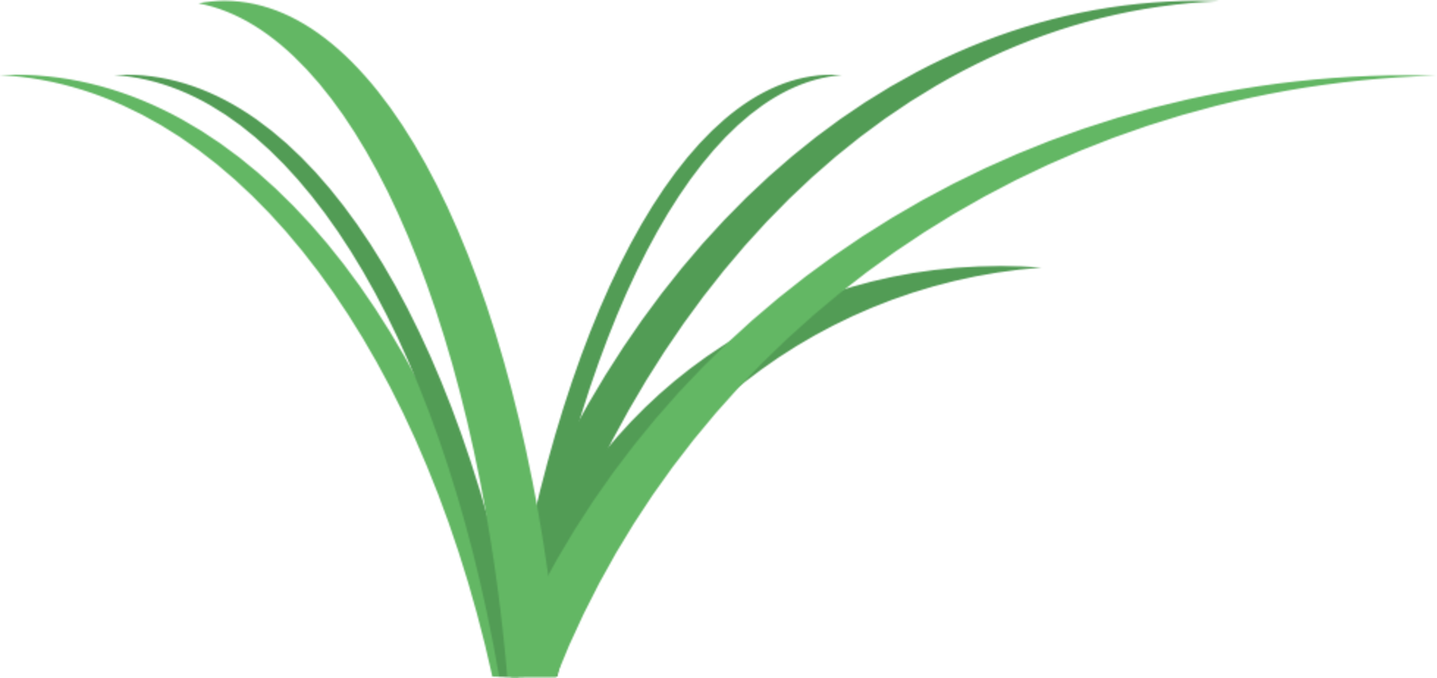 Abstract Grass Graphic PNG image