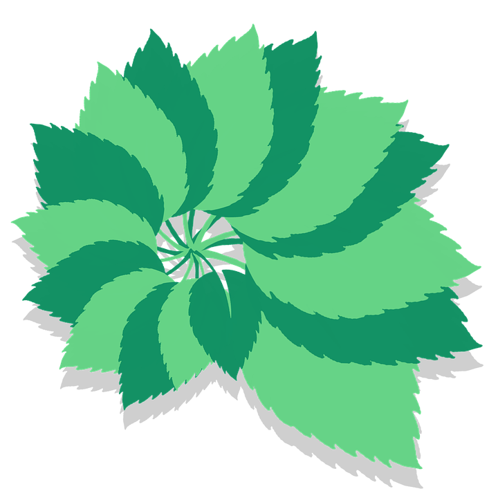 Abstract Green Leaf Design PNG image