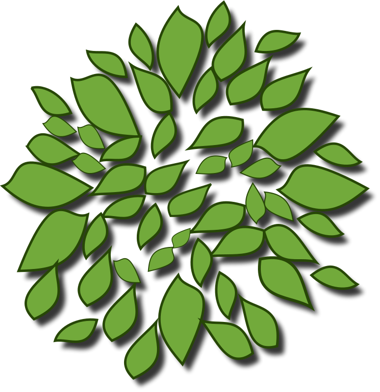 Abstract Green Leaf Design PNG image