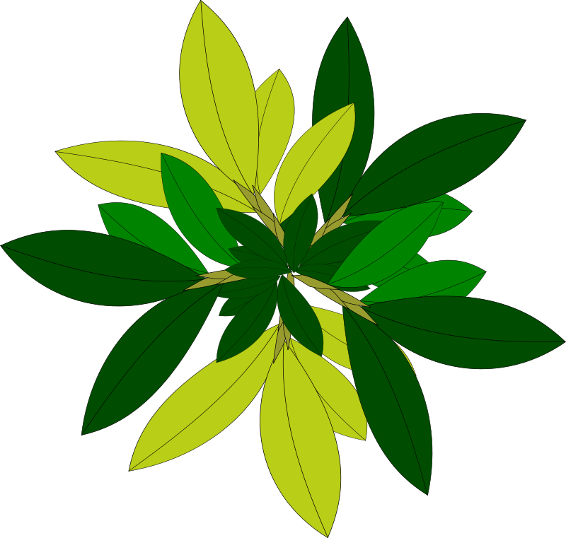 Abstract Green Leaves Design PNG image