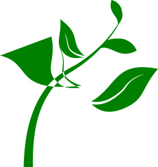 Abstract Green Plant Graphic PNG image