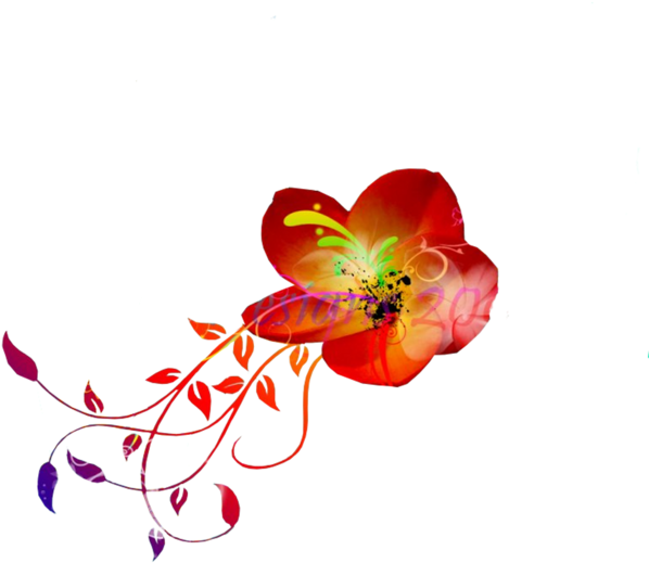 Abstract Hawaiian Flower Art PNG image