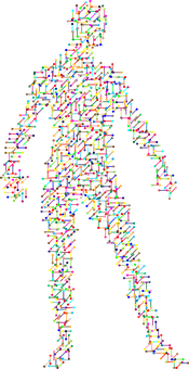 Abstract Human Figure Composedof Colored Lines.jpg PNG image