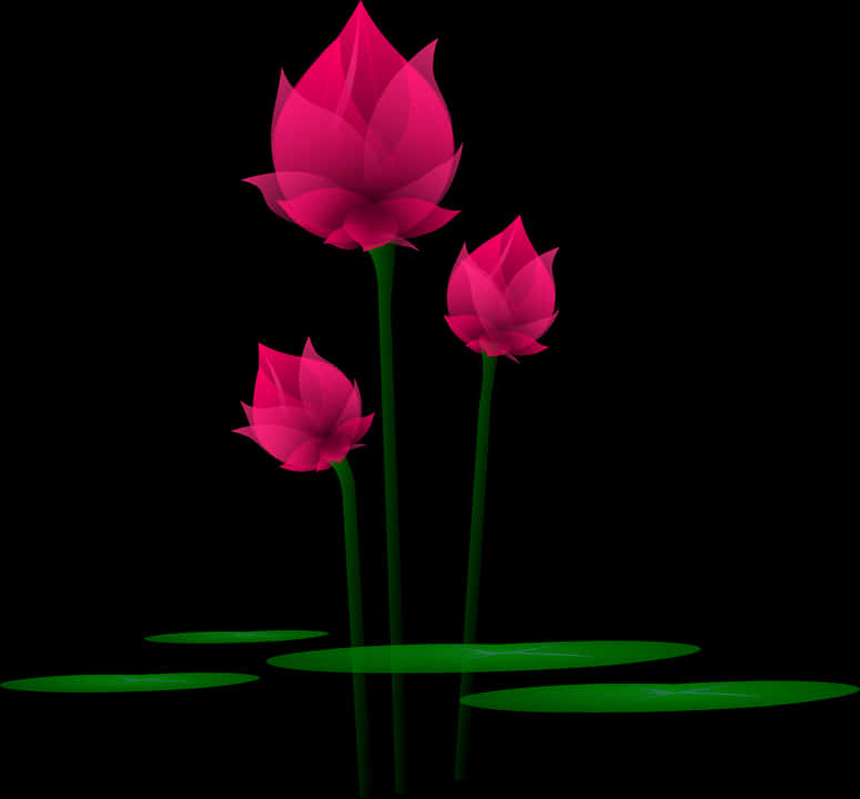 Abstract Lotus Flowerson Black Background PNG image