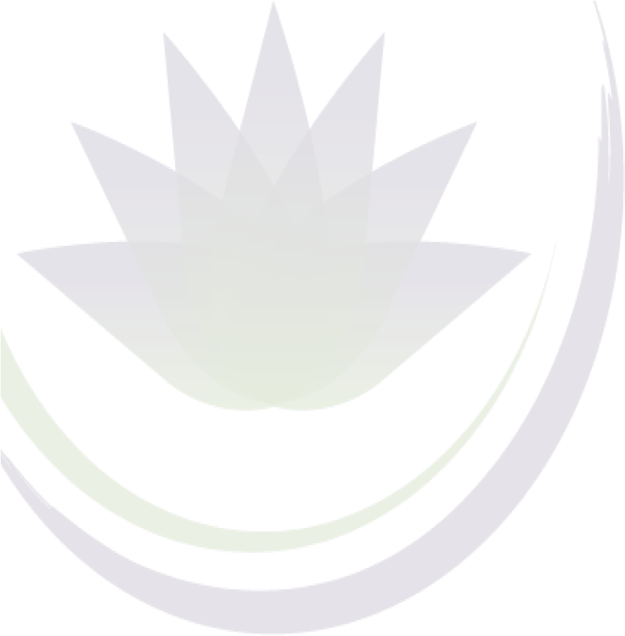 Abstract Lotus Graphic PNG image