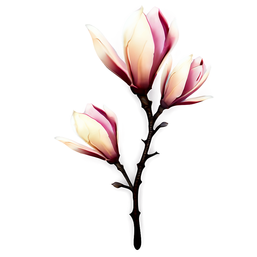 Abstract Magnolia Flower Artwork Png Jxs59 PNG image