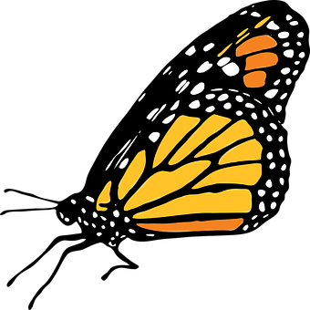 Abstract Monarch Butterfly Wing Art PNG image