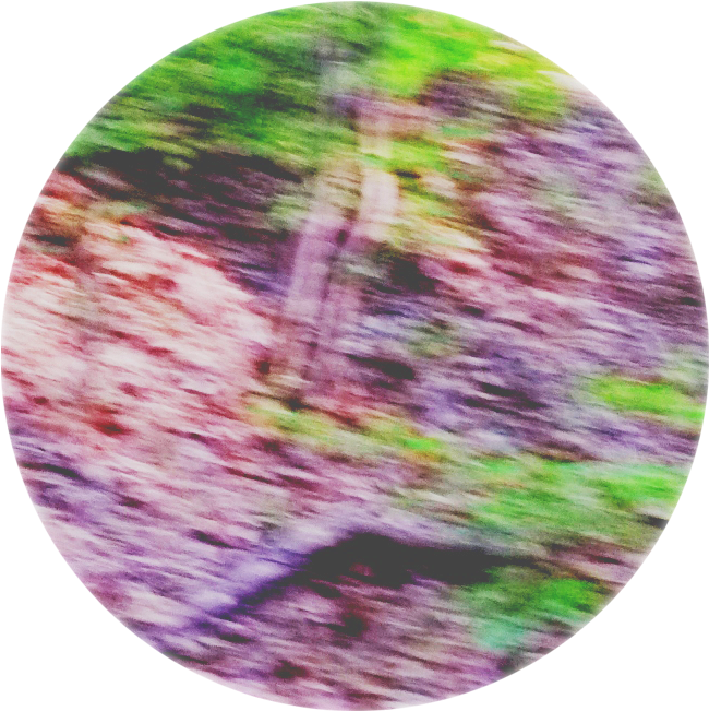 Abstract Nature Blur Circle.jpg PNG image