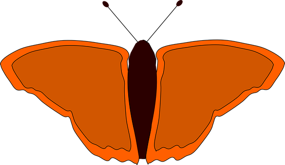 Abstract Orange Butterfly Silhouette PNG image