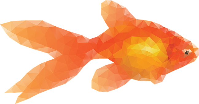 Abstract Orange Goldfish Artwork PNG image