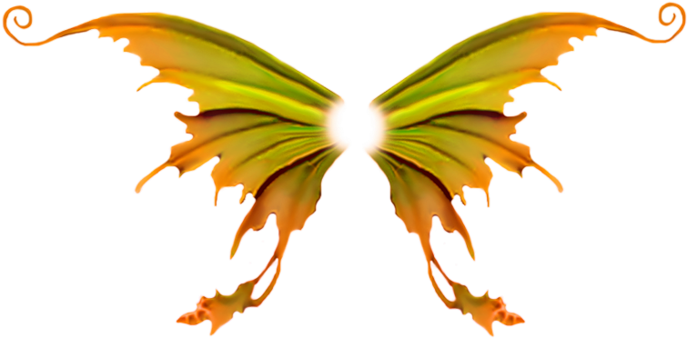 Abstract Orange Green Wings Artwork PNG image