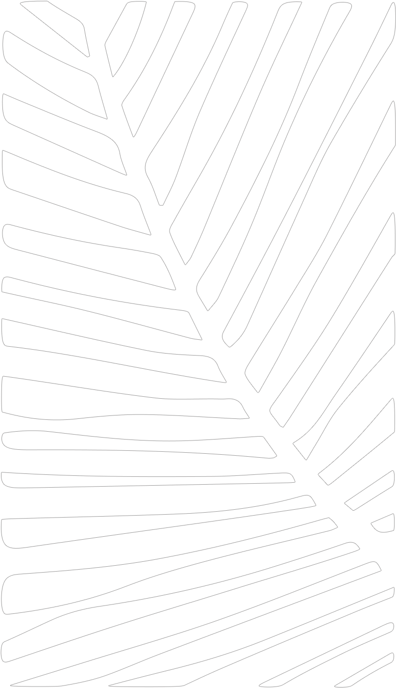 Abstract Palm Frond Artwork PNG image