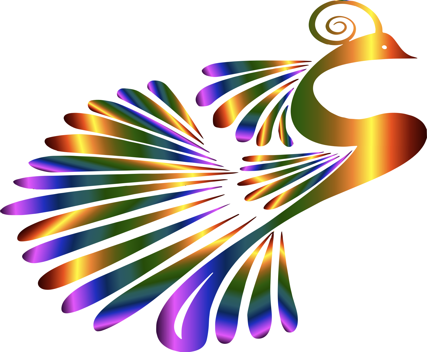 Abstract Peacock Artwork PNG image