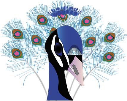 Abstract Peacock Illustration PNG image