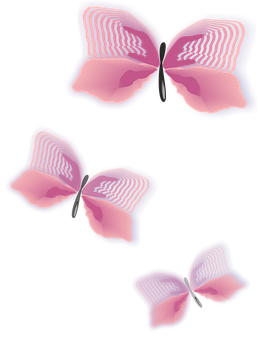Abstract Pink Butterflieson Black PNG image