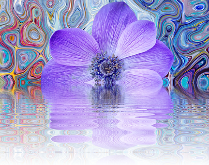 Abstract Purple Flower Reflection PNG image