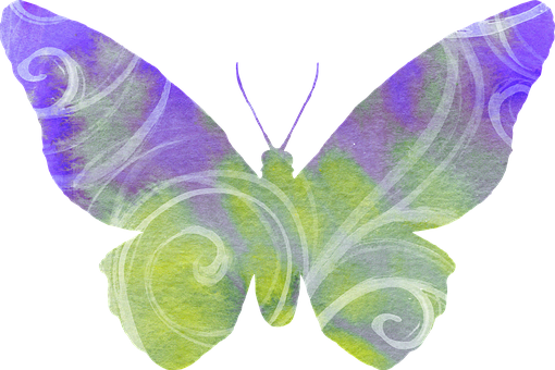 Abstract Purple Green Butterfly Art PNG image