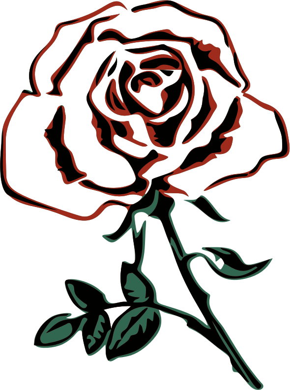 Abstract Rose Line Art PNG image