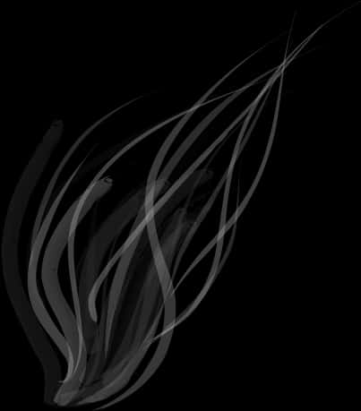 Abstract Smoke Lineson Black Background PNG image