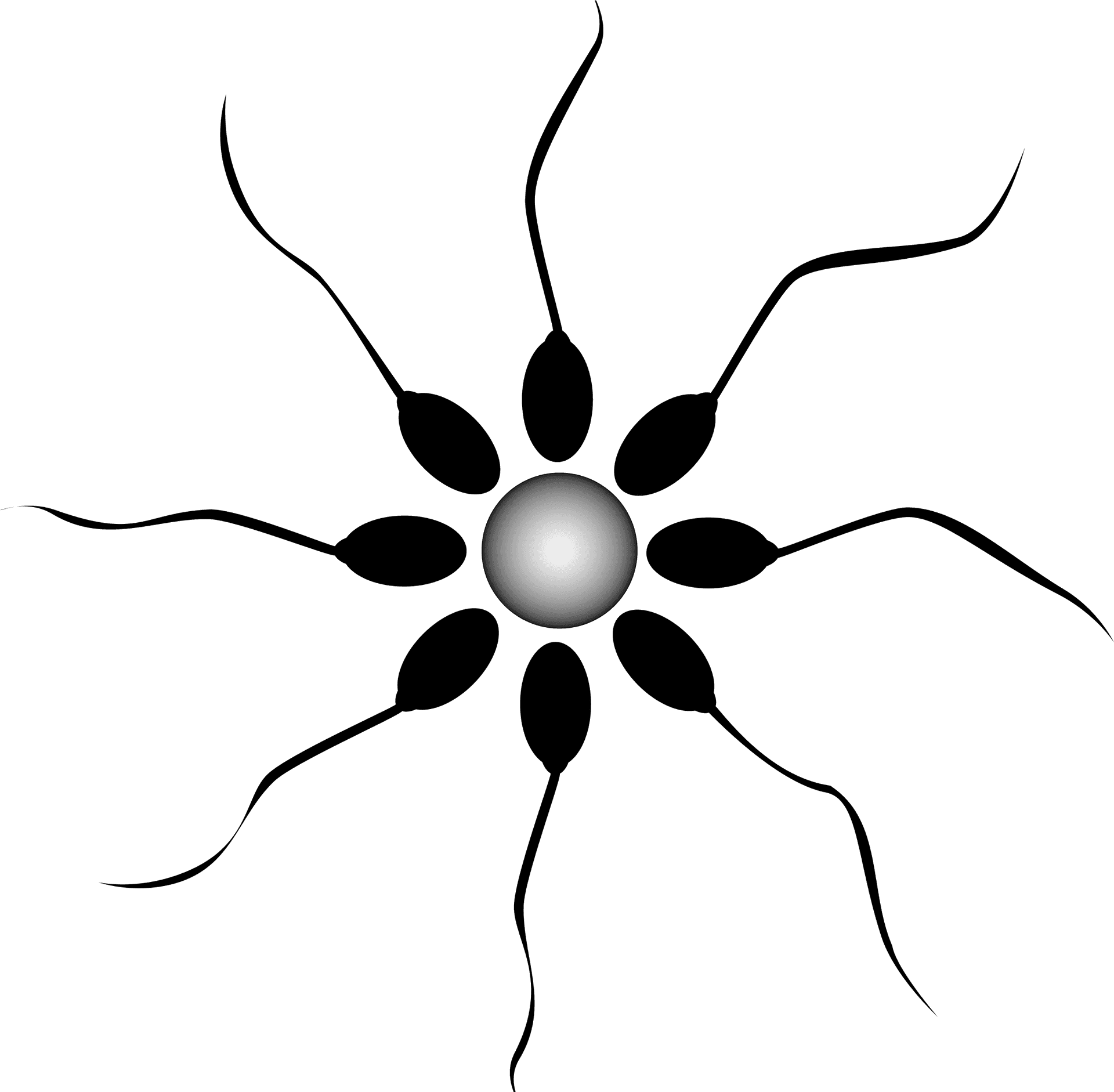 Abstract Sperm Fertilization Graphic PNG image