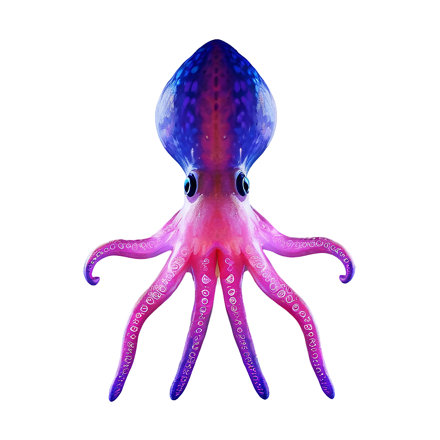 Abstract Squid Pattern Png 20 PNG image