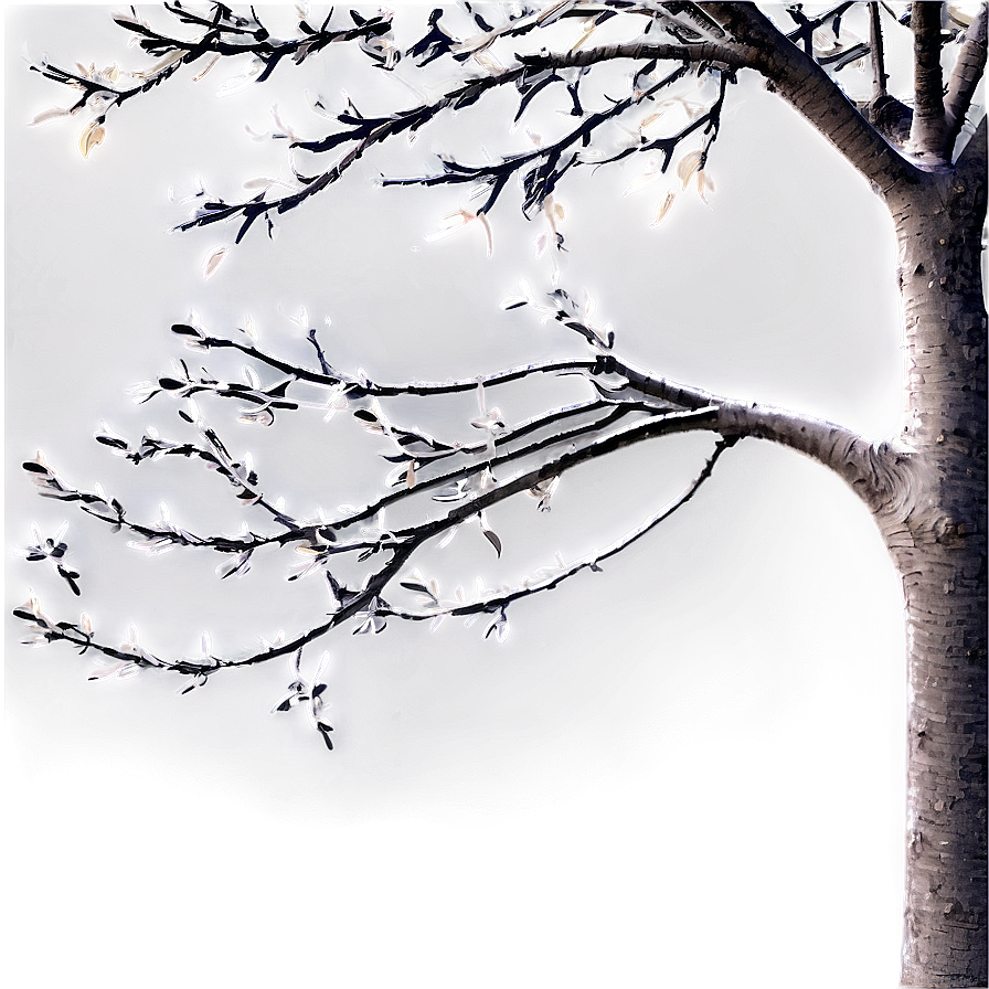 Abstract Tree Branches Png 06282024 PNG image