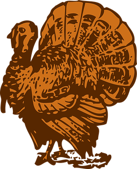 Abstract Turkey Silhouette PNG image