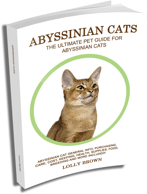 Abyssinian Cats Ultimate Pet Guide Book Cover PNG image