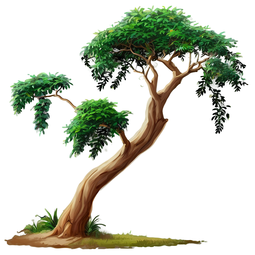 Acacia Tree In The Wind Png 06132024 PNG image