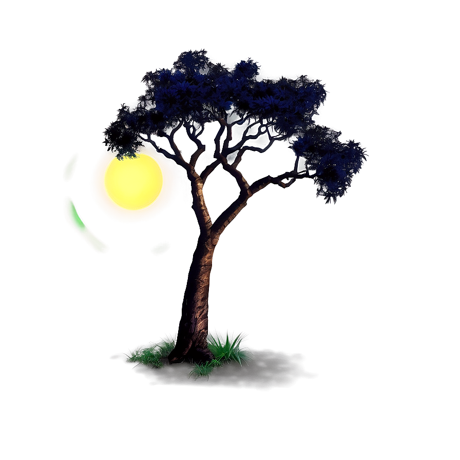 Acacia Tree Under Starry Night Png 43 PNG image