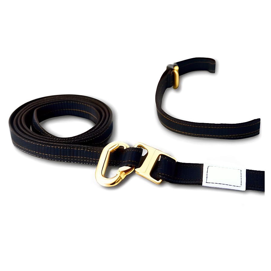 Adjustable Dog Leash Png 06132024 PNG image