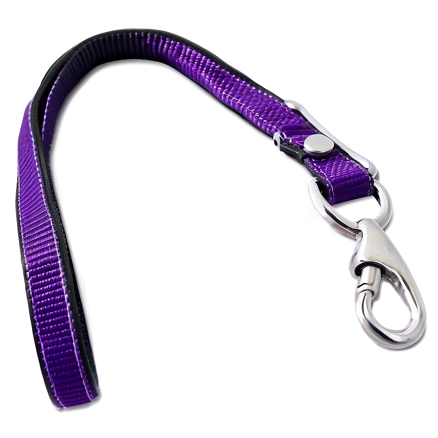 Adjustable Dog Leash Png 96 PNG image